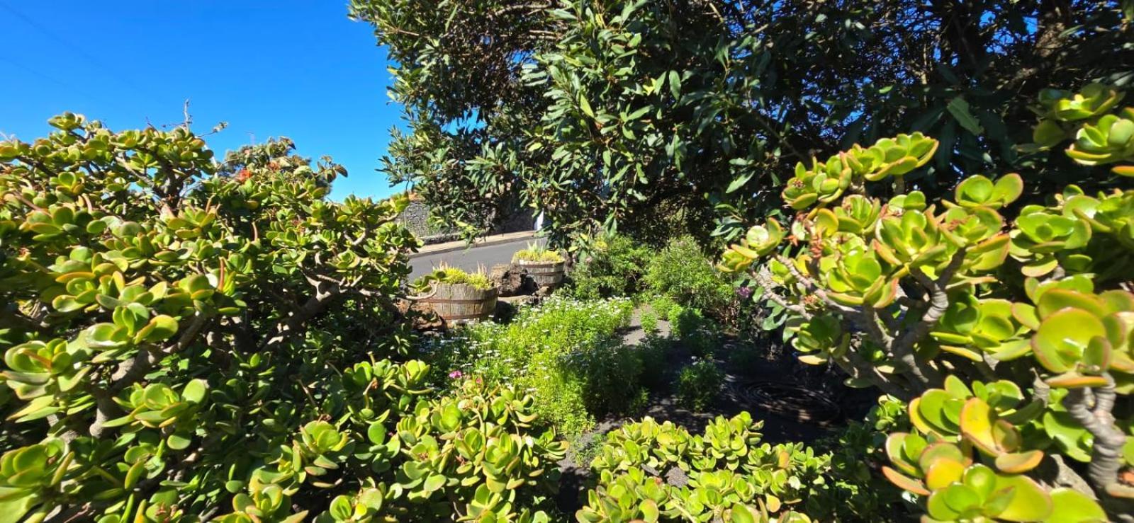 El Lagar, Bodega A Fuencaliente de la Palma