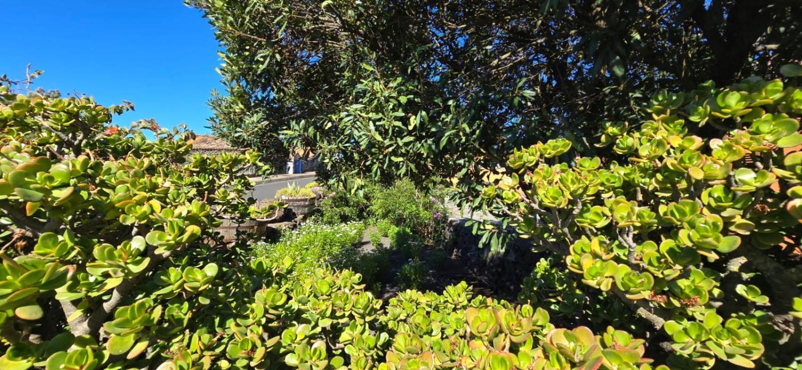 El Lagar, Bodega A Fuencaliente de la Palma
